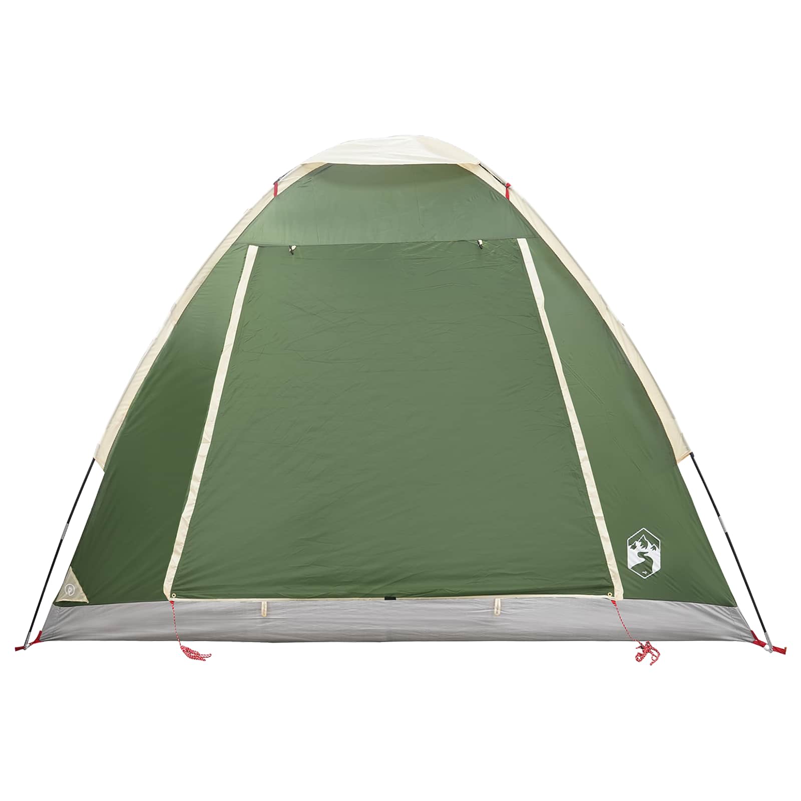 vidaXL Kamperen tent met dak Groen 2-persoons Polyester en staal