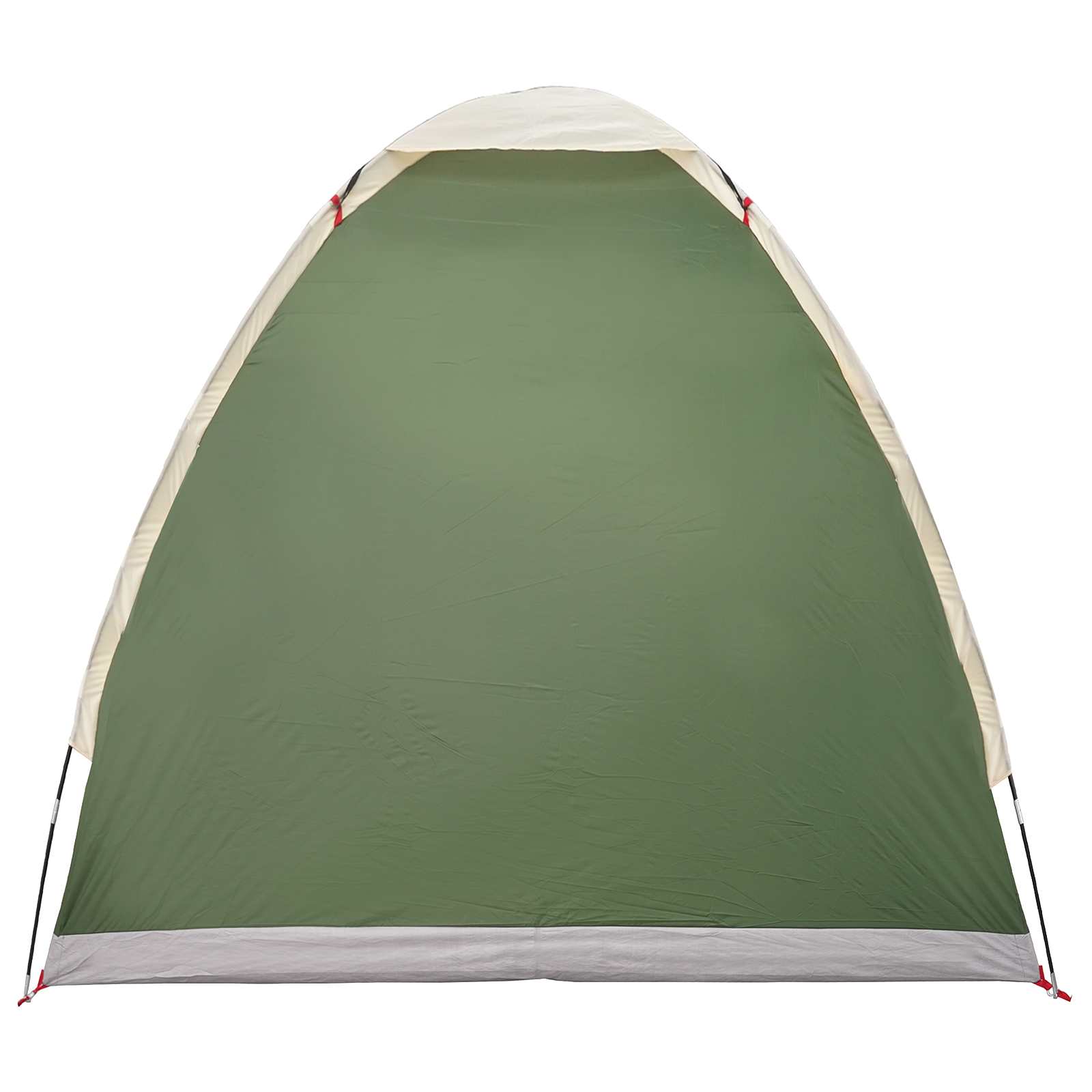 vidaXL Kamperen tent met dak Groen 2-persoons Polyester en staal