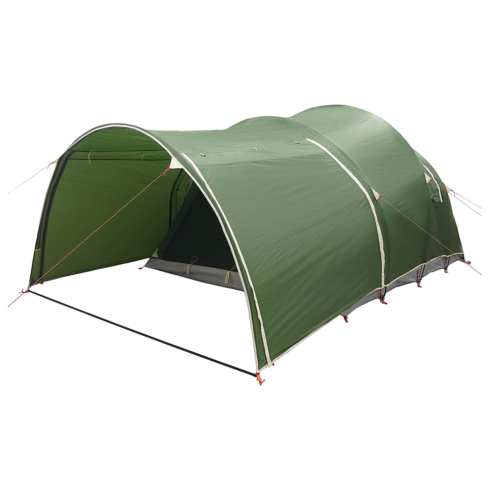 vidaXL Tunneltent met dak Groen 370 x 275 x 210 cm Polyester en staal