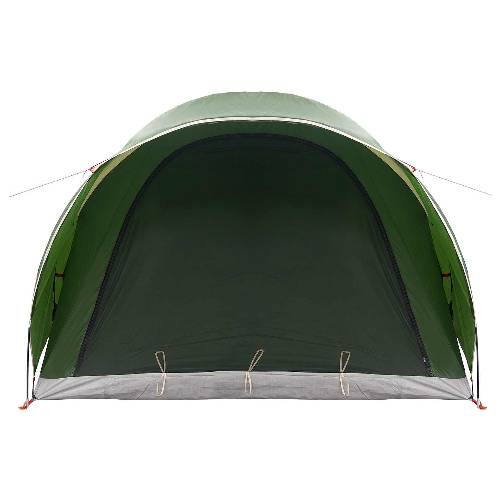 vidaXL Tunneltent met dak Groen 370 x 275 x 210 cm Polyester en staal