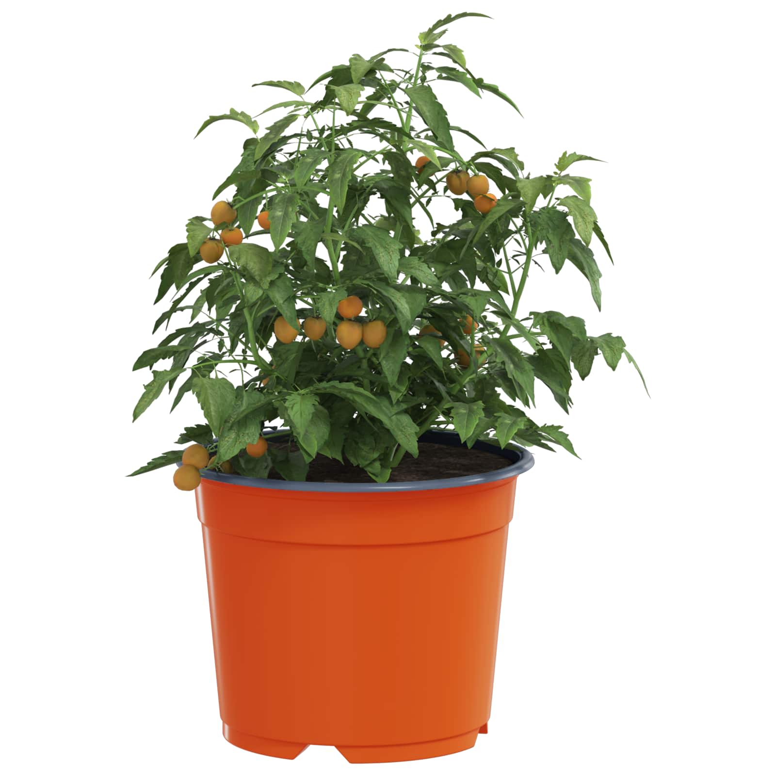 vidaXL Bloempot 50 pcs Keramiek Ø 15 x 12.5 cm Kunststof