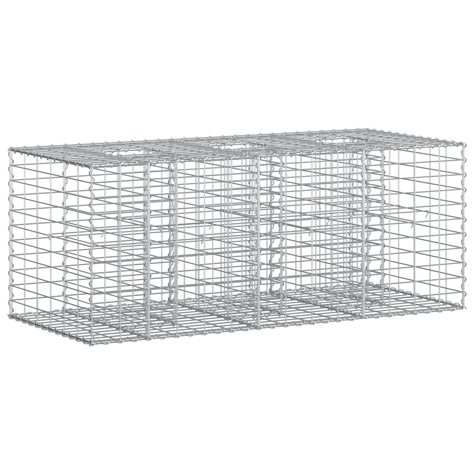 vidaXL Gabion Verhoogd Bed 2 pcs Zilver 260 x 60 x 55 cm