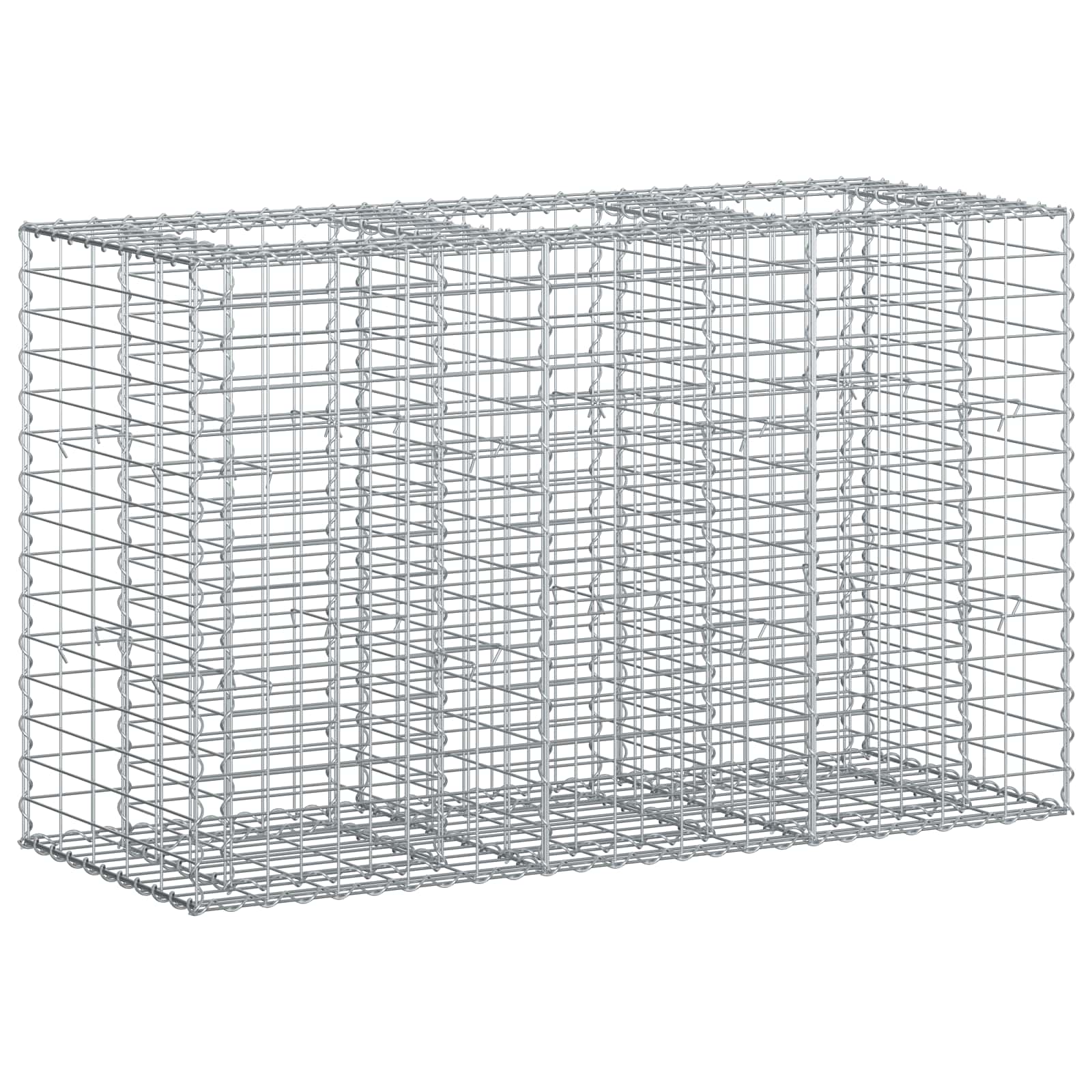 vidaXL Gabion Verhoogd Bed 2 pcs Zilver 260 x 60 x 55 cm