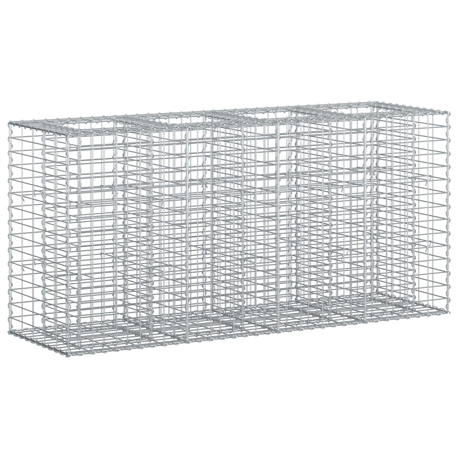vidaXL Gabion Verhoogd Bed 2 pcs Zilver 260 x 60 x 55 cm
