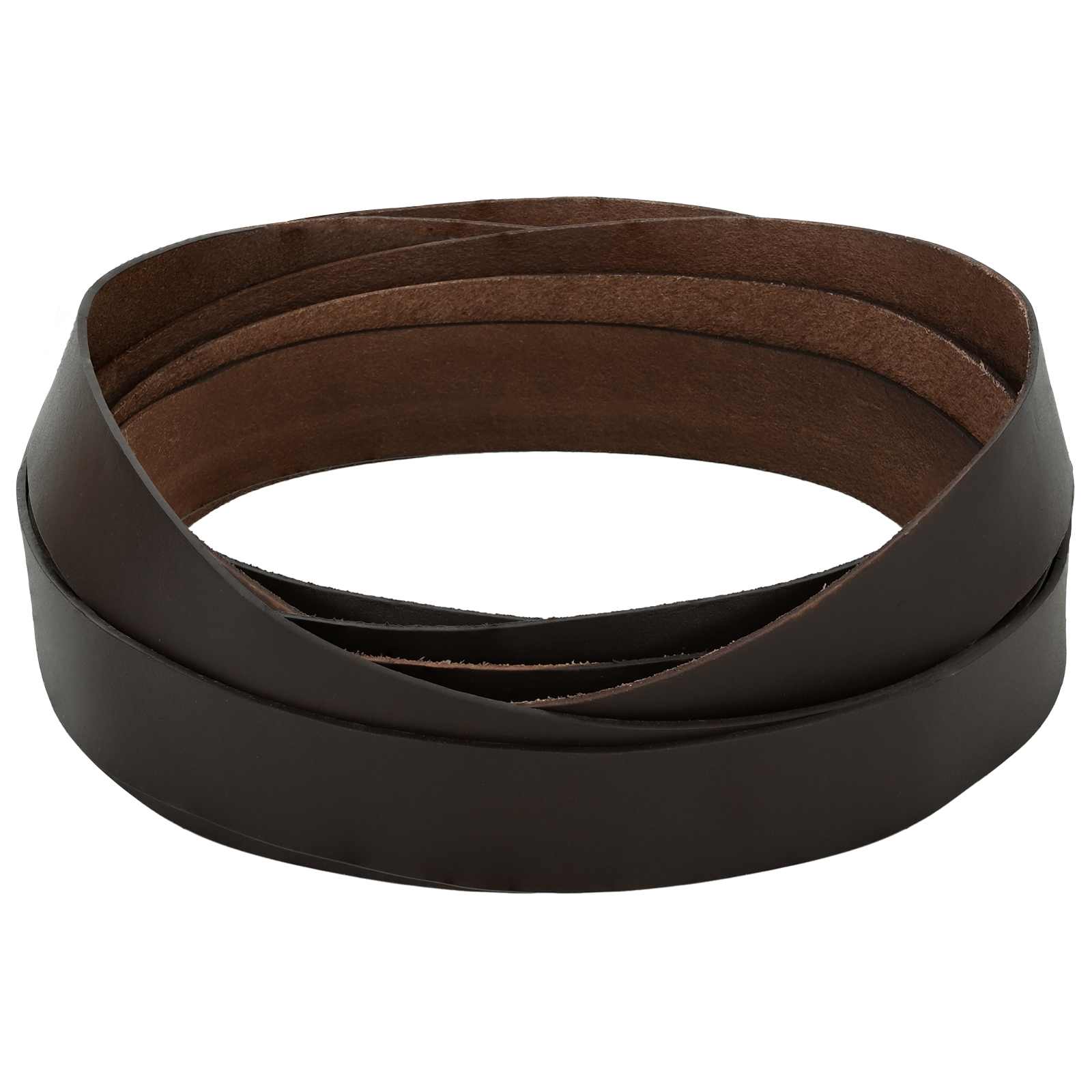 vidaXL Leren Strap Zwart 200 x 0,3 cm Leer