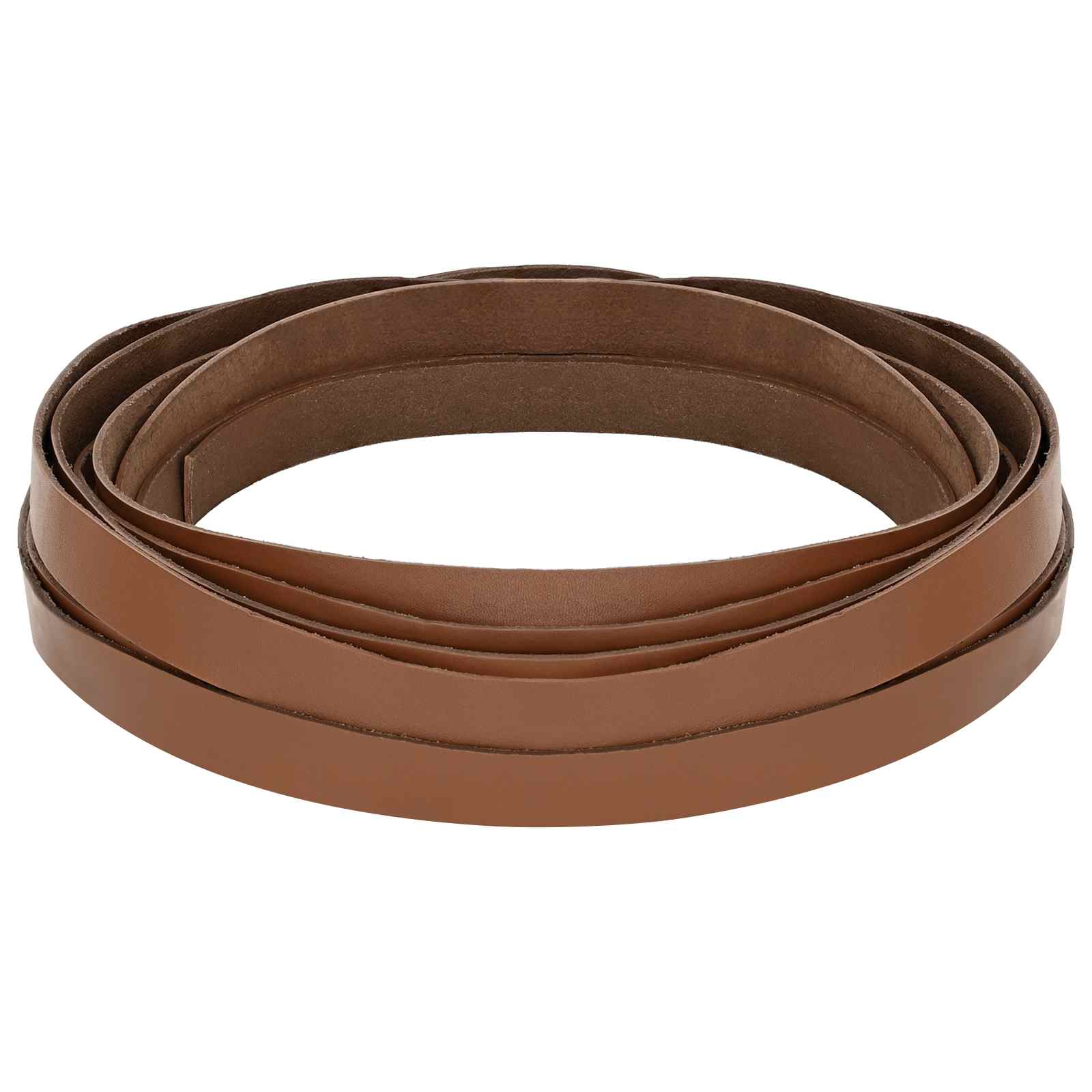 vidaXL Leren Strap Zwart 200 x 0,3 cm Leer