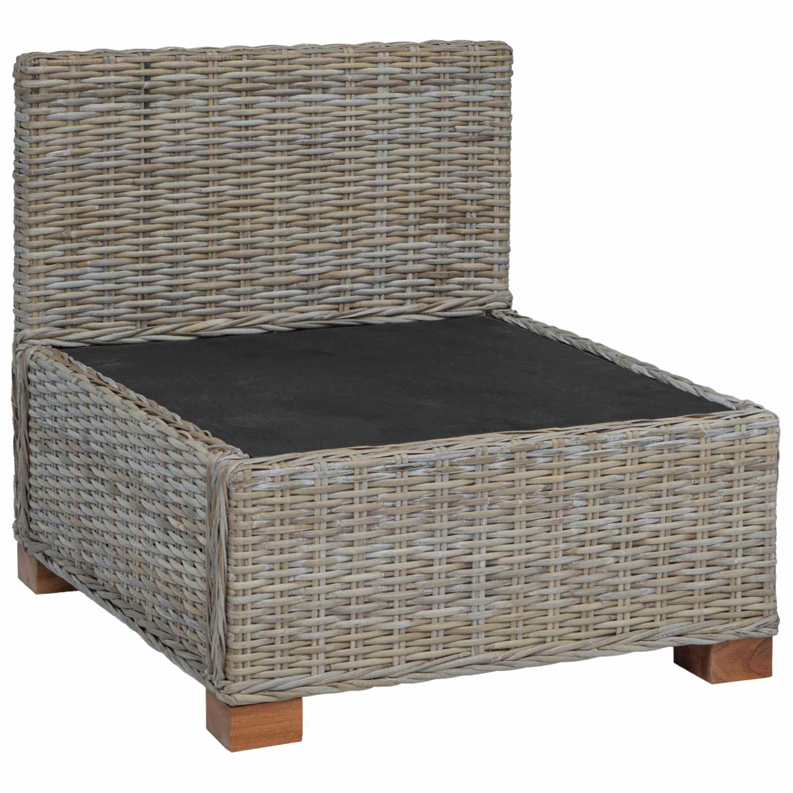 vidaXL Middelgrote Bank met Kussens GENDT Natuurlijk rattan Naturel