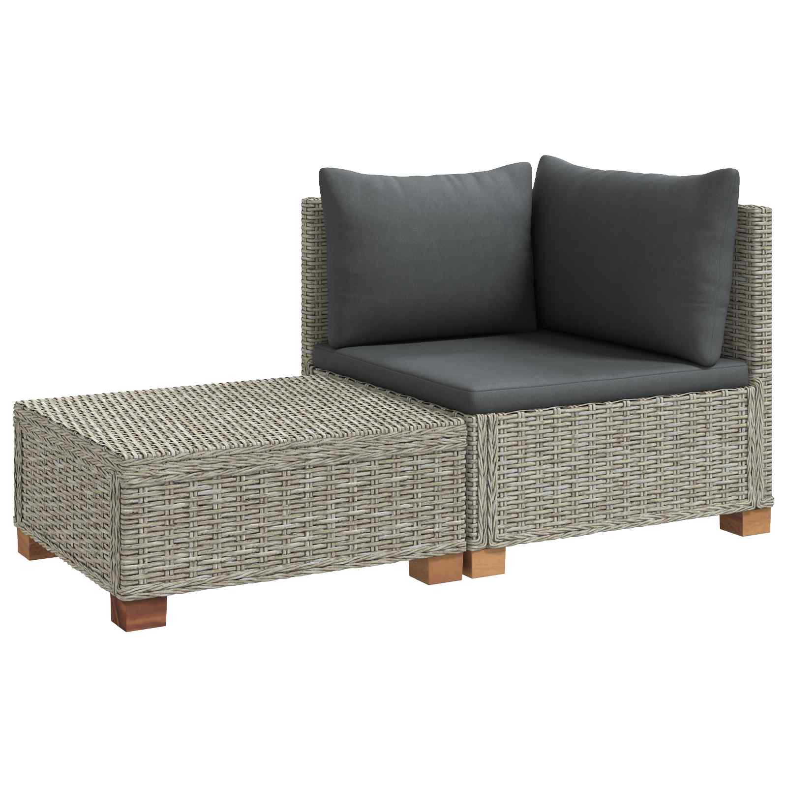 vidaXL 2 st Rieten Loungeset met Kussens GENDT Natuurlijk rattan