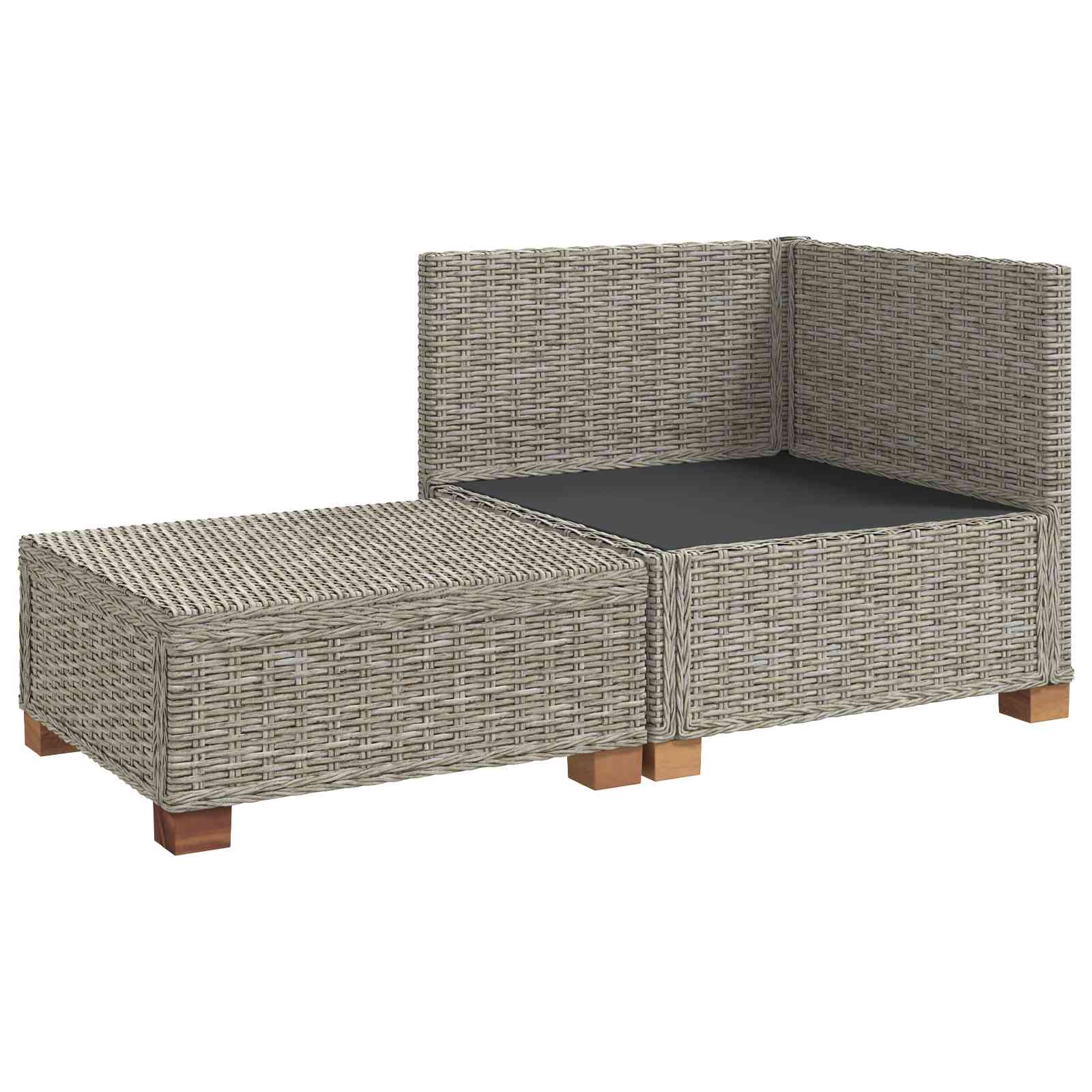 vidaXL 2 st Rieten Loungeset met Kussens GENDT Natuurlijk rattan