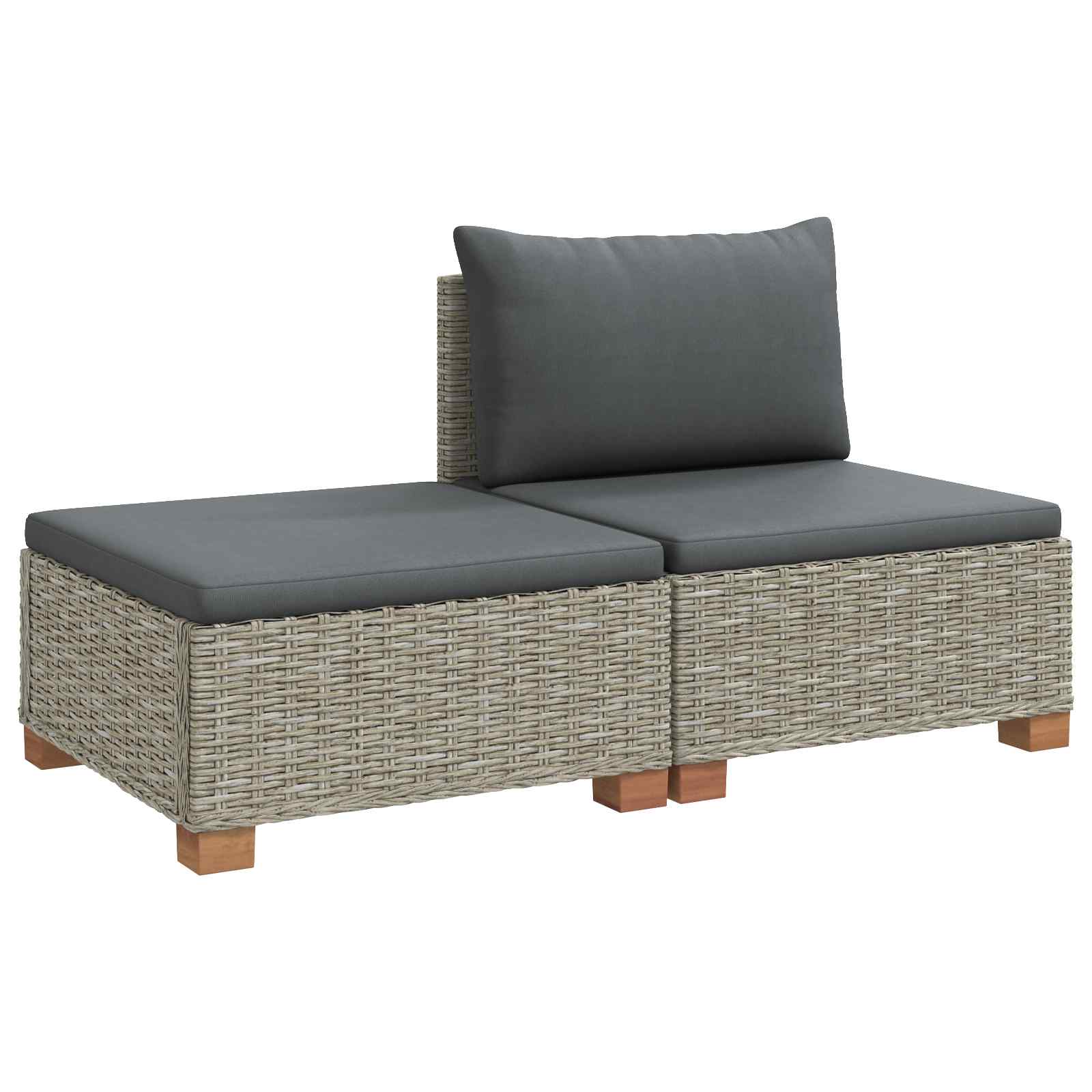 vidaXL 2 st Rieten Loungeset met Kussens GENDT Natuurlijk rattan
