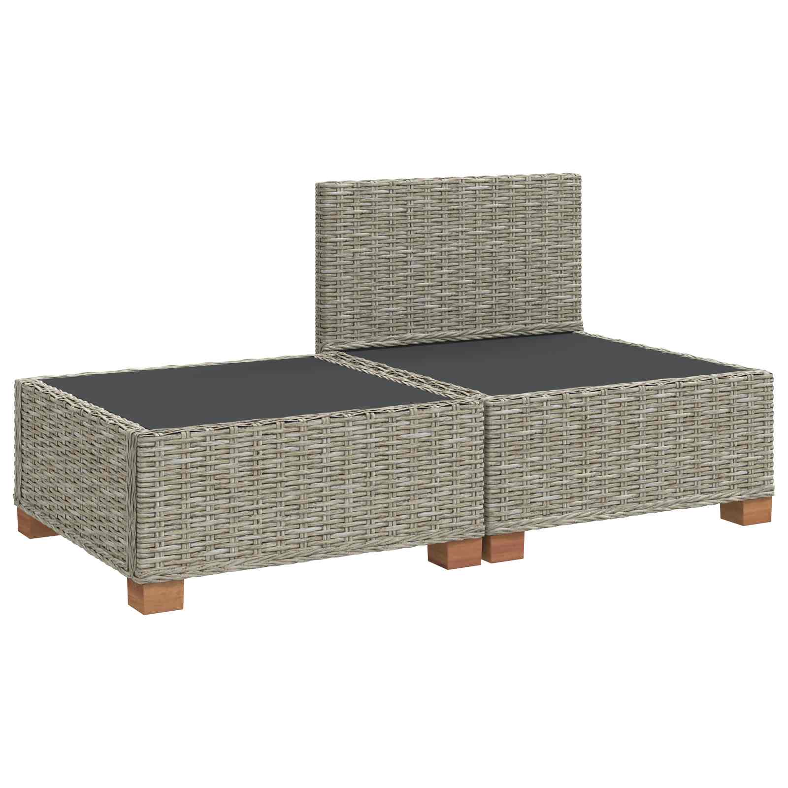 vidaXL 2 st Rieten Loungeset met Kussens GENDT Natuurlijk rattan