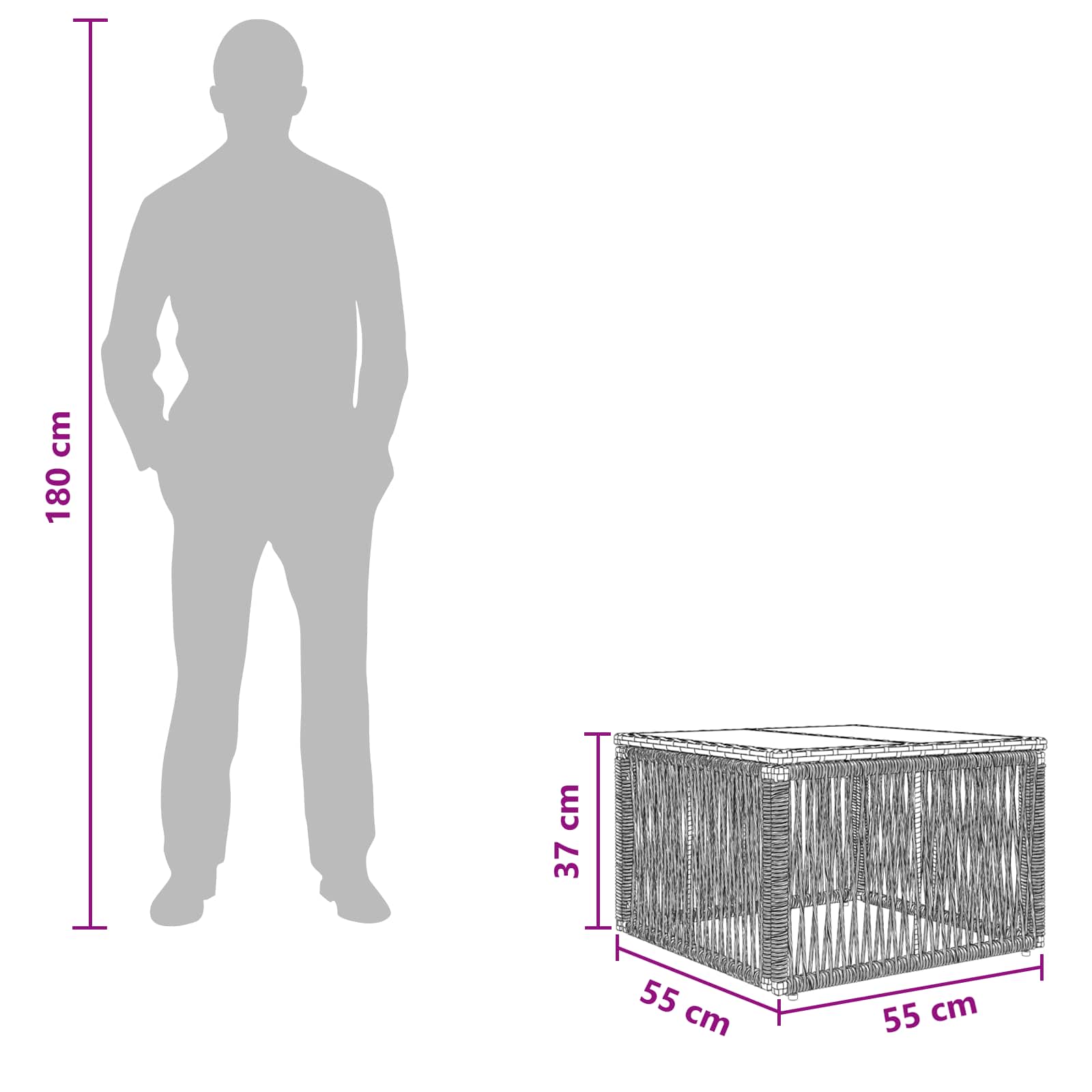 vidaXL Tuintafel Zwart 55 x 55 x 37 cm PE Rattan en Glas