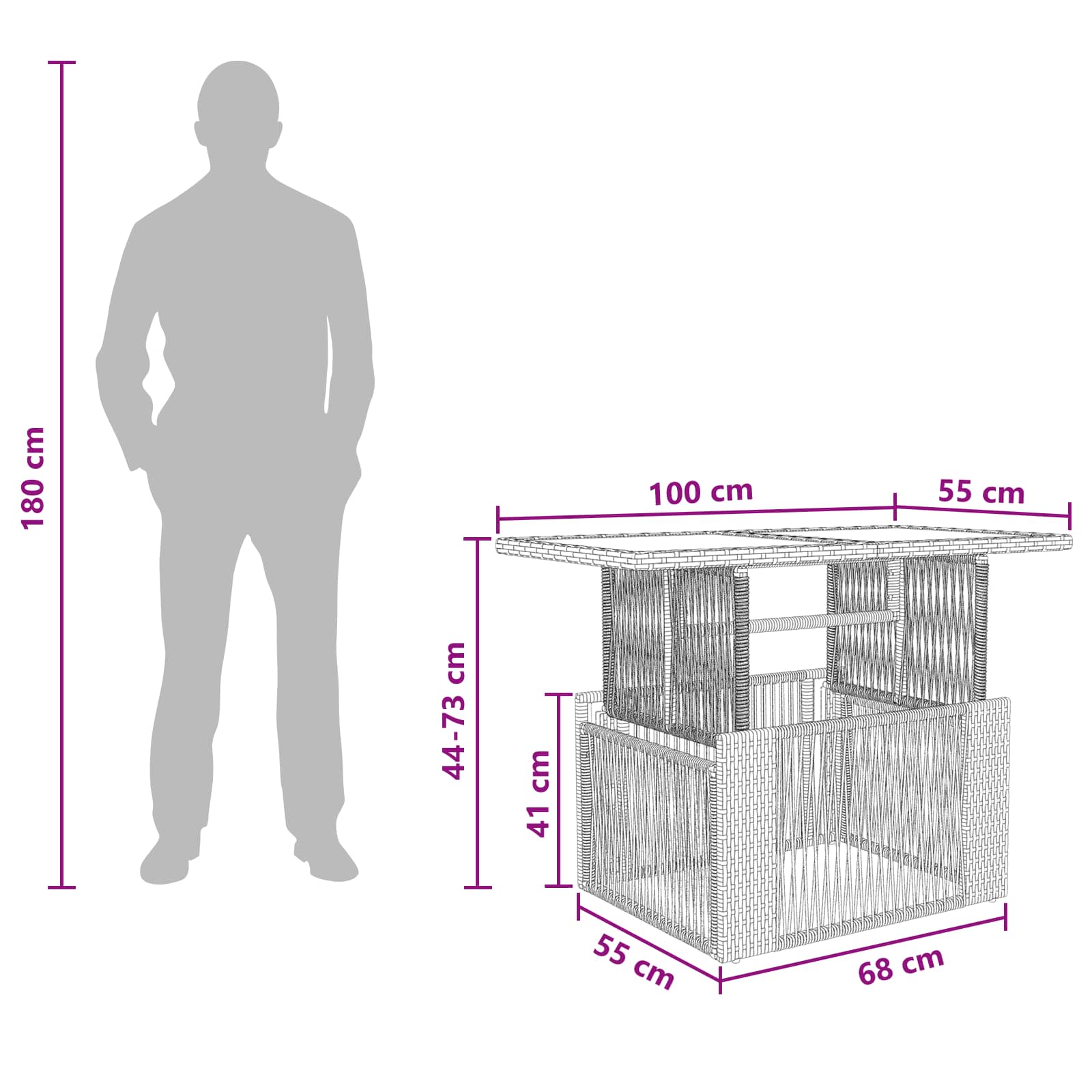 vidaXL Tuinstafel Zwart 100 x 55 x 37 cm PE Rattan en Glas