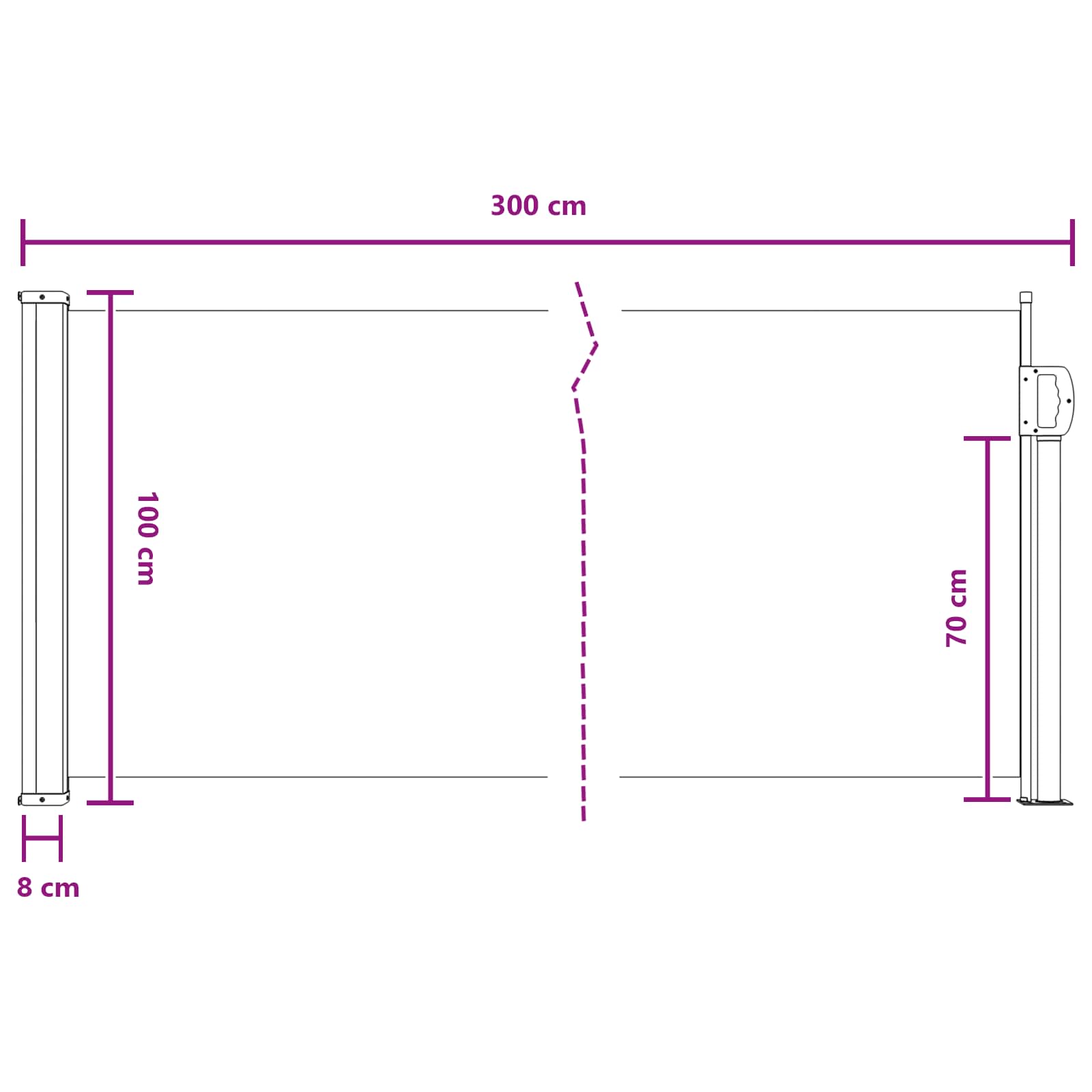 vidaXL Uittrekbaar Zijscherm Antracietkleurig 300 x 100 cm Polyester