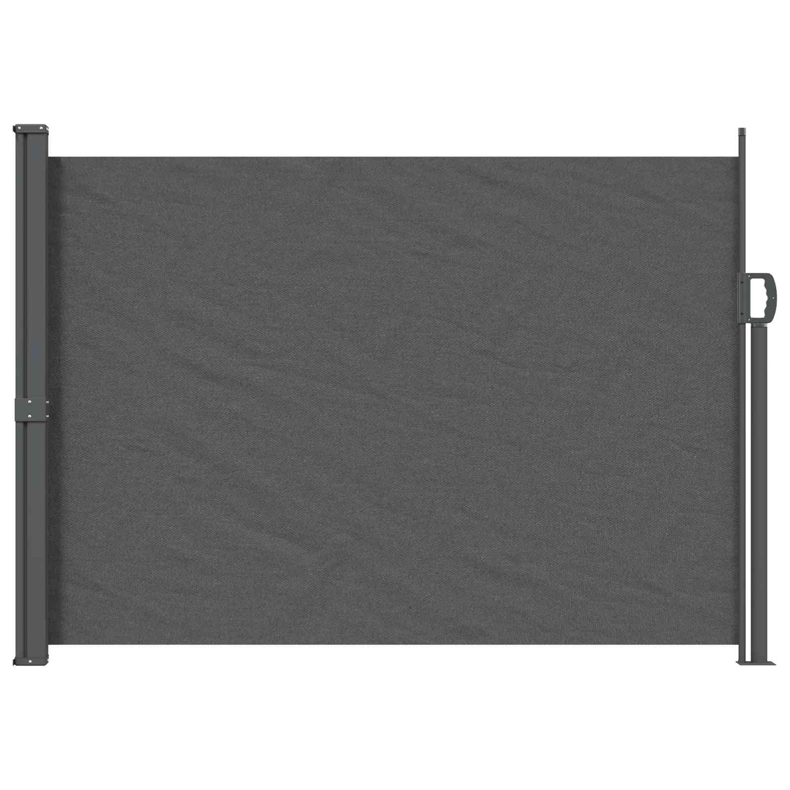 vidaXL Uittrekbaar Zijscherm Antracietkleurig 300 x 100 cm Polyester