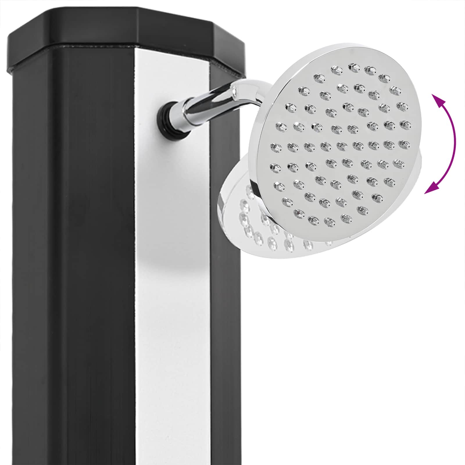 vidaXL Zonnedouche met douchekop en kraan 40 L, zwart en zilver