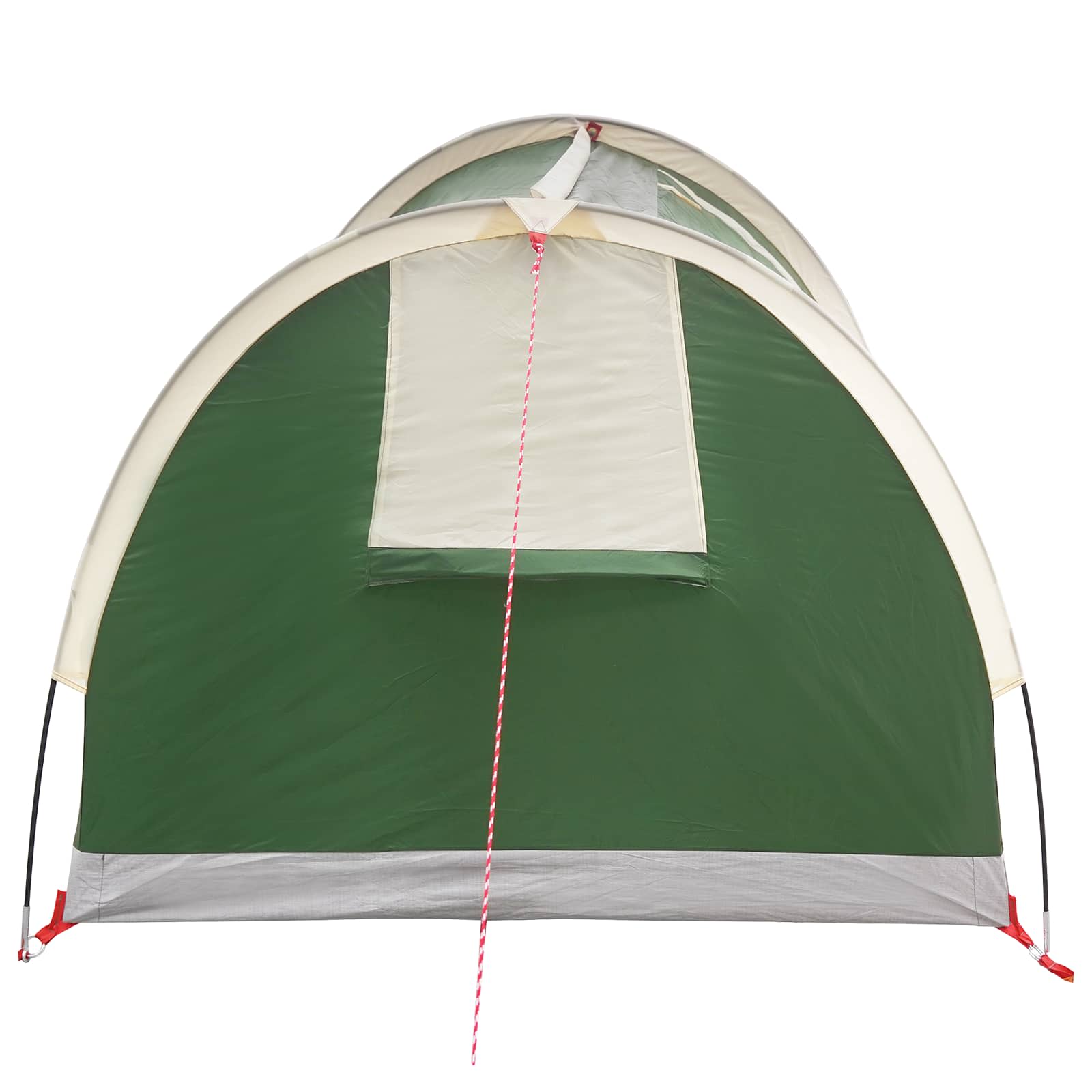 vidaXL Hiking Tent Waterdicht 1-persoons 1-Persoons Groen
