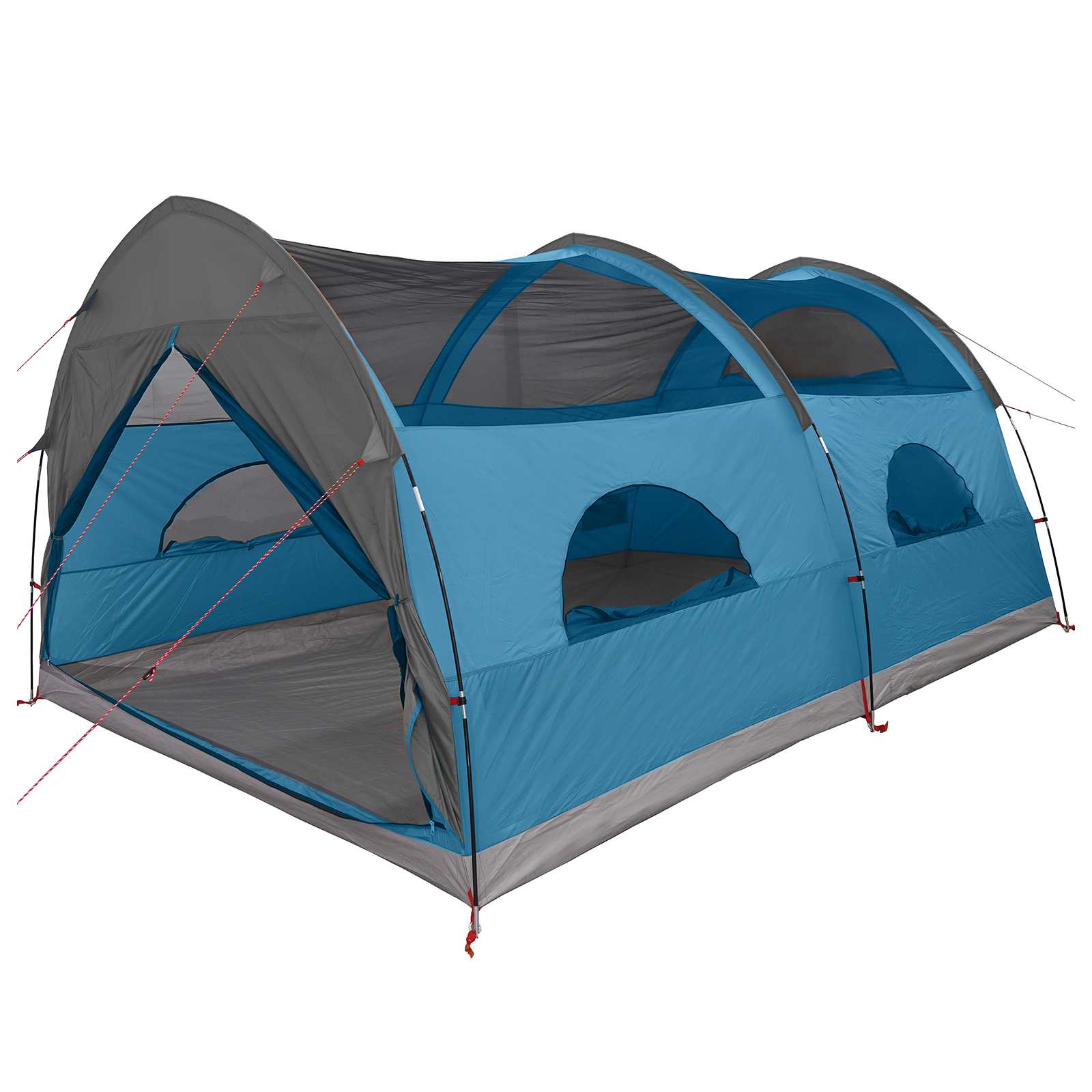 vidaXL Tunnel Tent met Waterdichte Regenhoes 10-persoons Groen