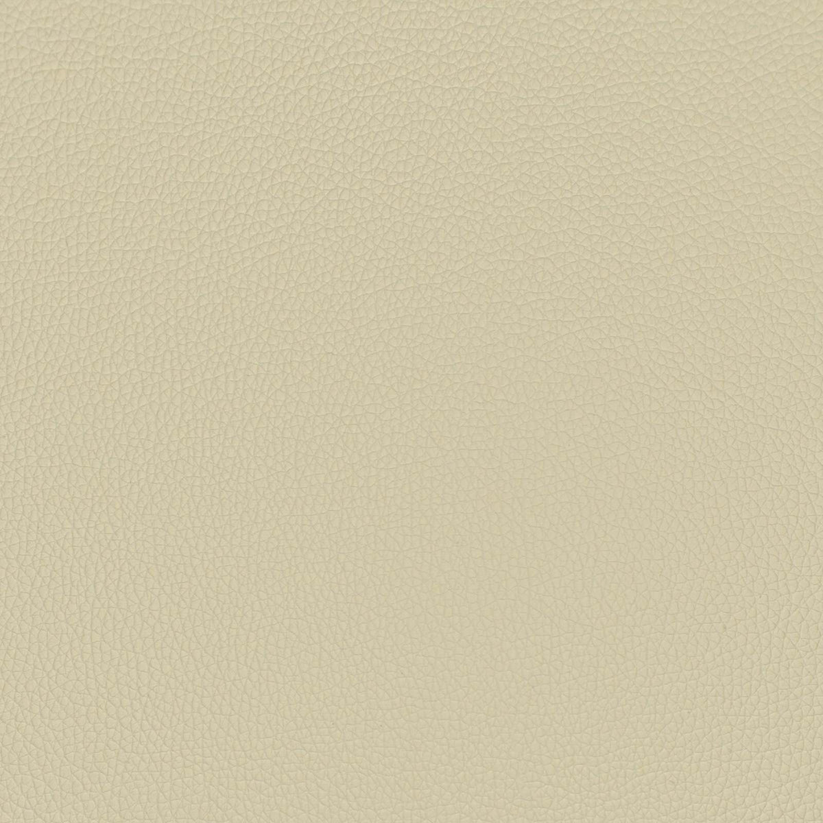 vidaXL Bankkussen 2 st Kunstleer Cappuccino Diepte 35 cm
