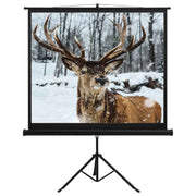 vidaXL Projectiescherm met standaard 1:1 60''
