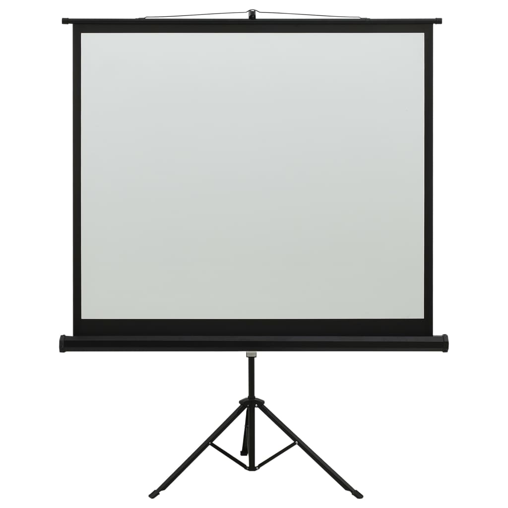 vidaXL Projectiescherm met standaard 1:1 60''