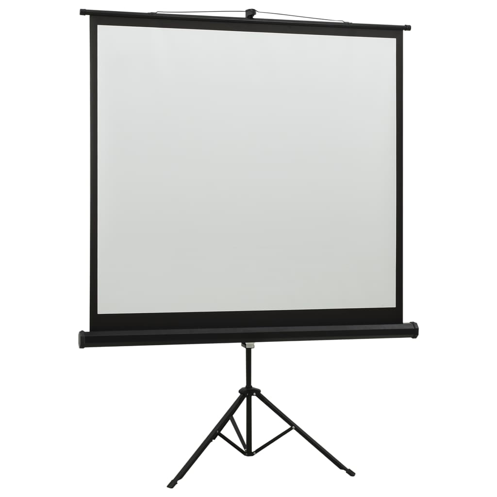 vidaXL Projectiescherm met standaard 1:1 60''
