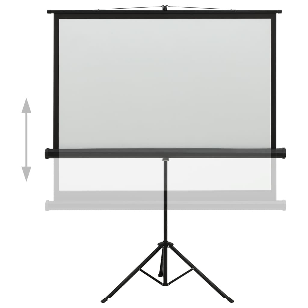 vidaXL Projectiescherm met standaard 1:1 60''