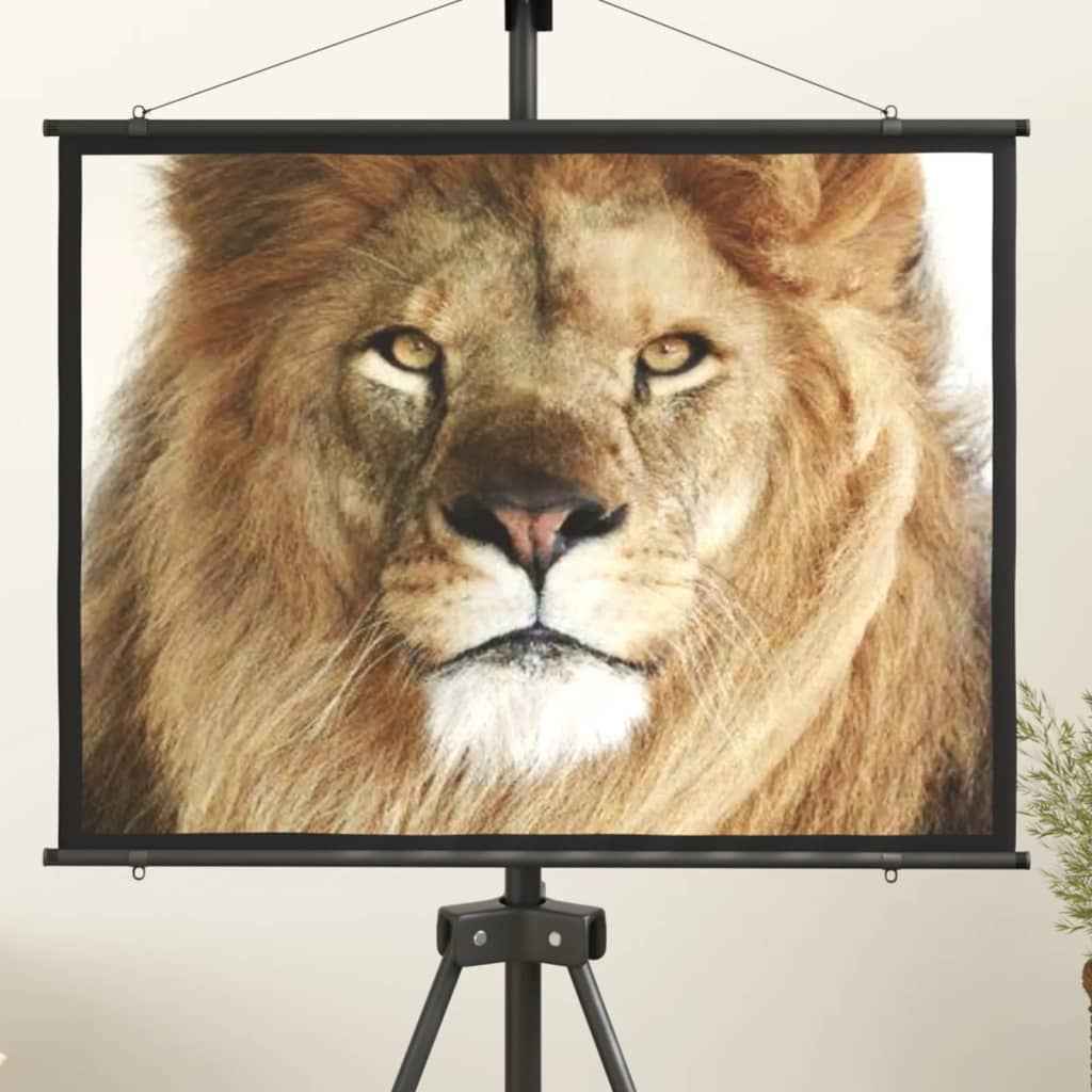 vidaXL Projectiescherm 16:9 84''
