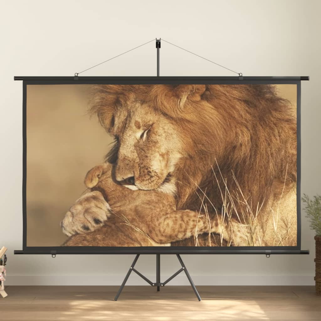 vidaXL Projectiescherm 16:9 84''