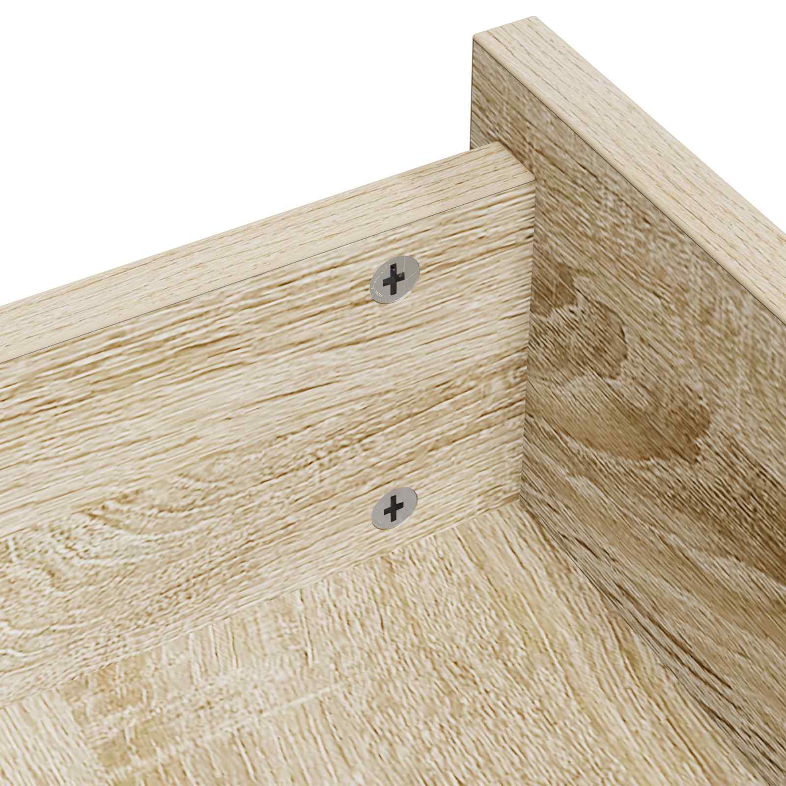 vidaXL Cam Lock Moeren 2 pcs Zilver 12 x 10 mm Staal