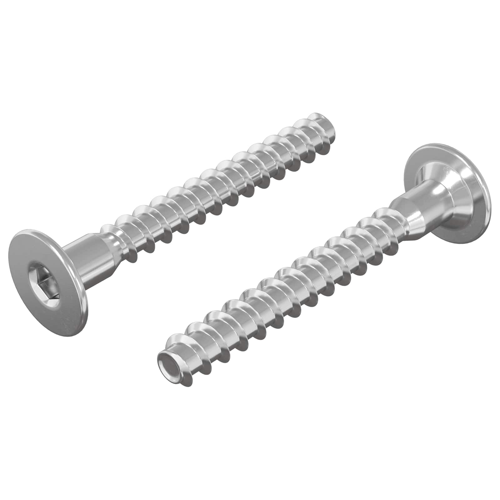 vidaXL Bevestigingsschroeven 2 pcs Zilver Metaal