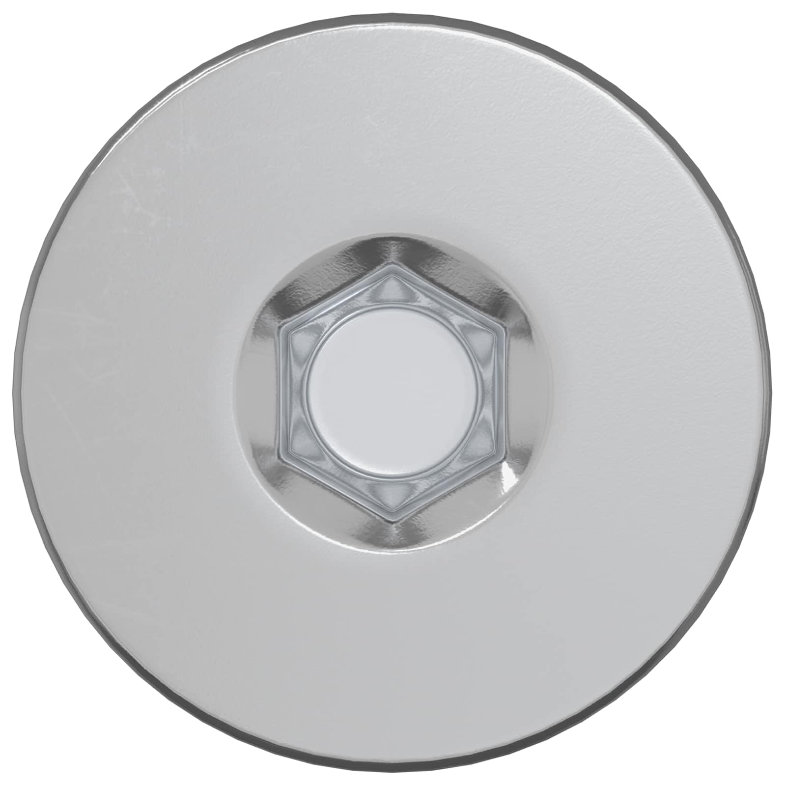 vidaXL Bevestigingsschroeven 2 pcs Zilver Metaal