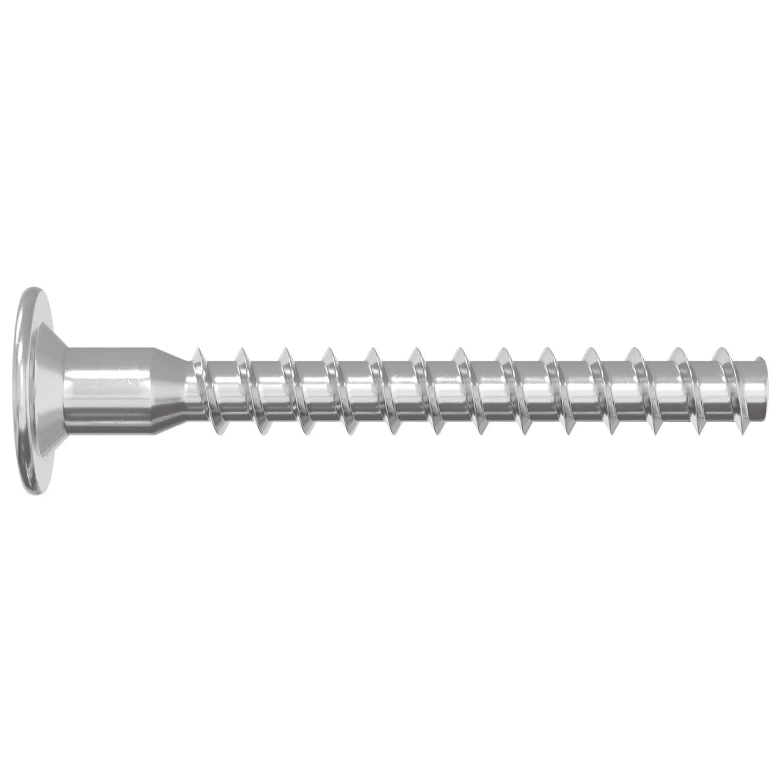 vidaXL Bevestigingsschroeven 2 pcs Zilver Metaal