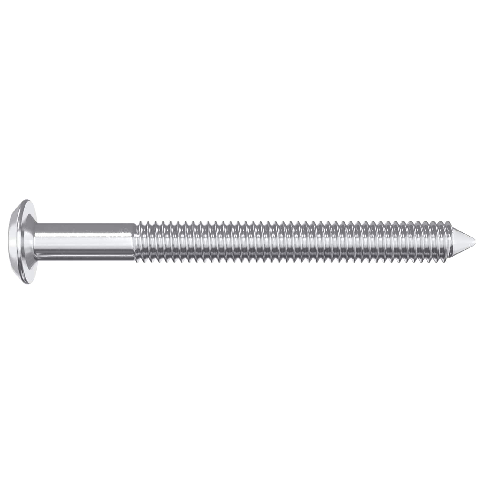 vidaXL Meubelschroeven 2 pcs Zilver M6 x 60 mm Staal