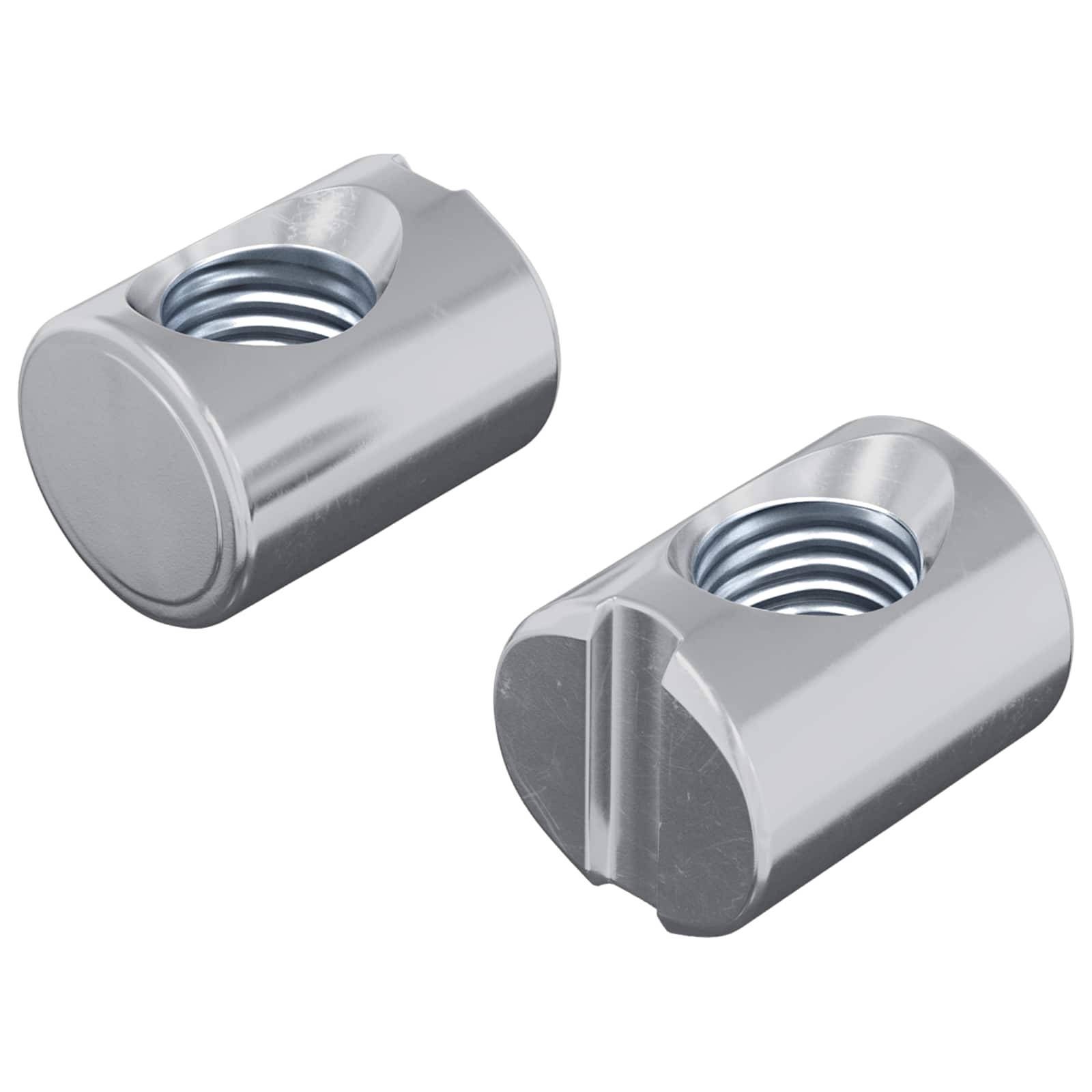 vidaXL Barrelmoeren 2 pcs Zilver M6 x 13 mm (Draad Diameter x H)