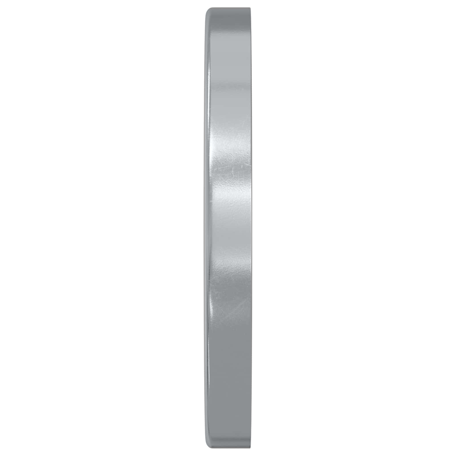 vidaXL geschikt voor vlakke ringen 2 pcs Zilver M7 x 12 mm Staal