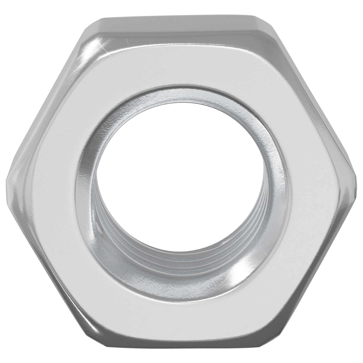 vidaXL Eikelnuts 2 pcs Zilver M8 x 10 mm Staal