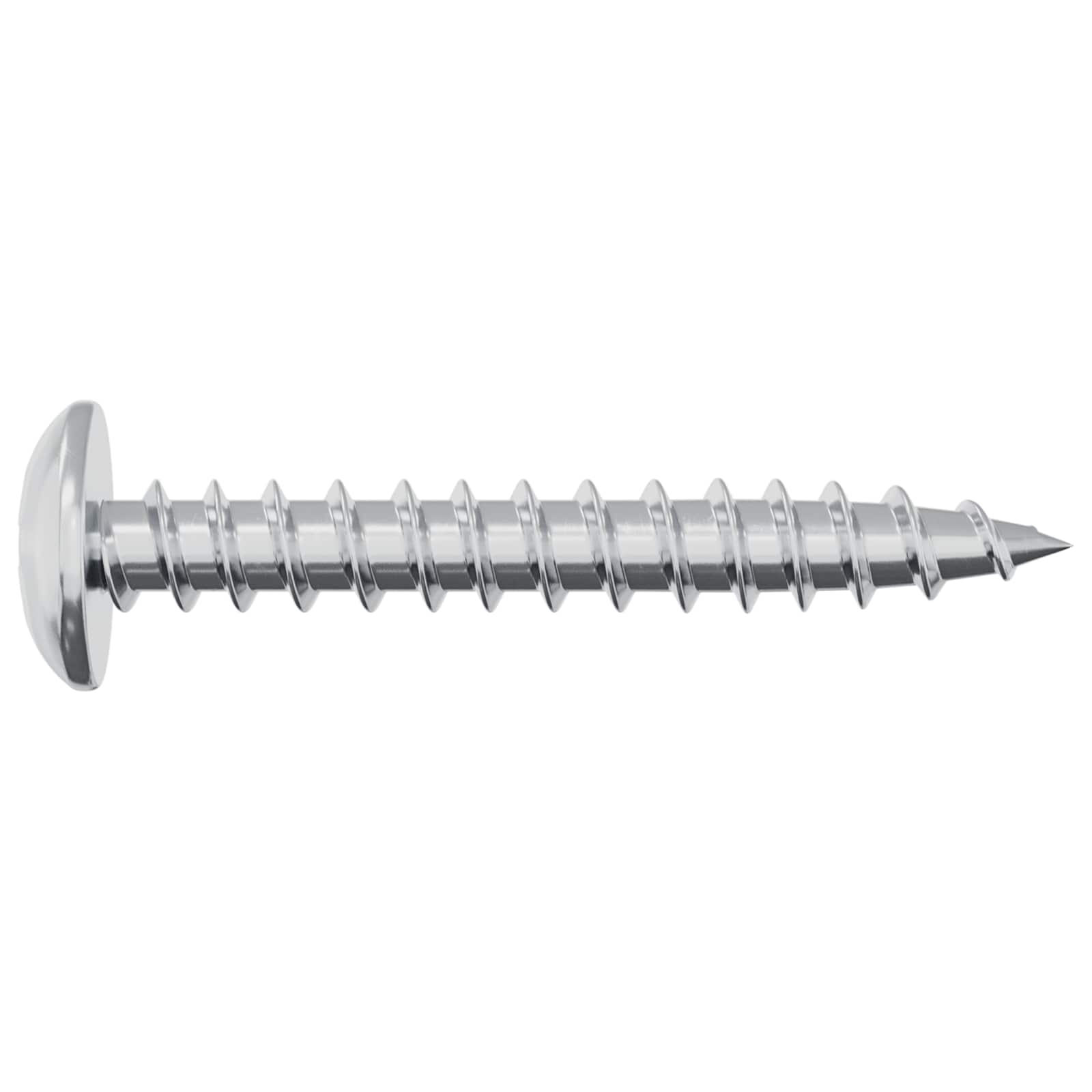 vidaXL Houten Schroef 2 pcs Zilver 8,8 x 31 mm IJzer