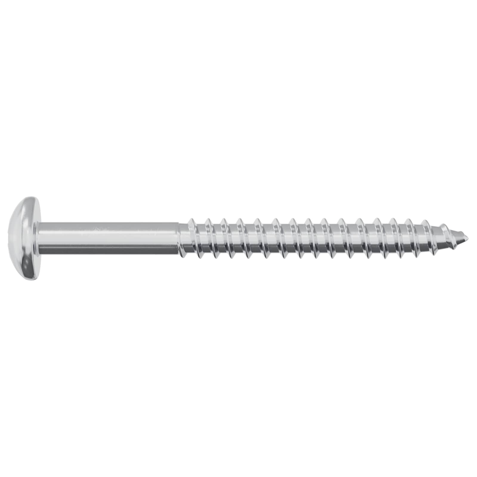 vidaXL Houten Schroef 2 pcs Zilver 9,8 x 53 mm Staal