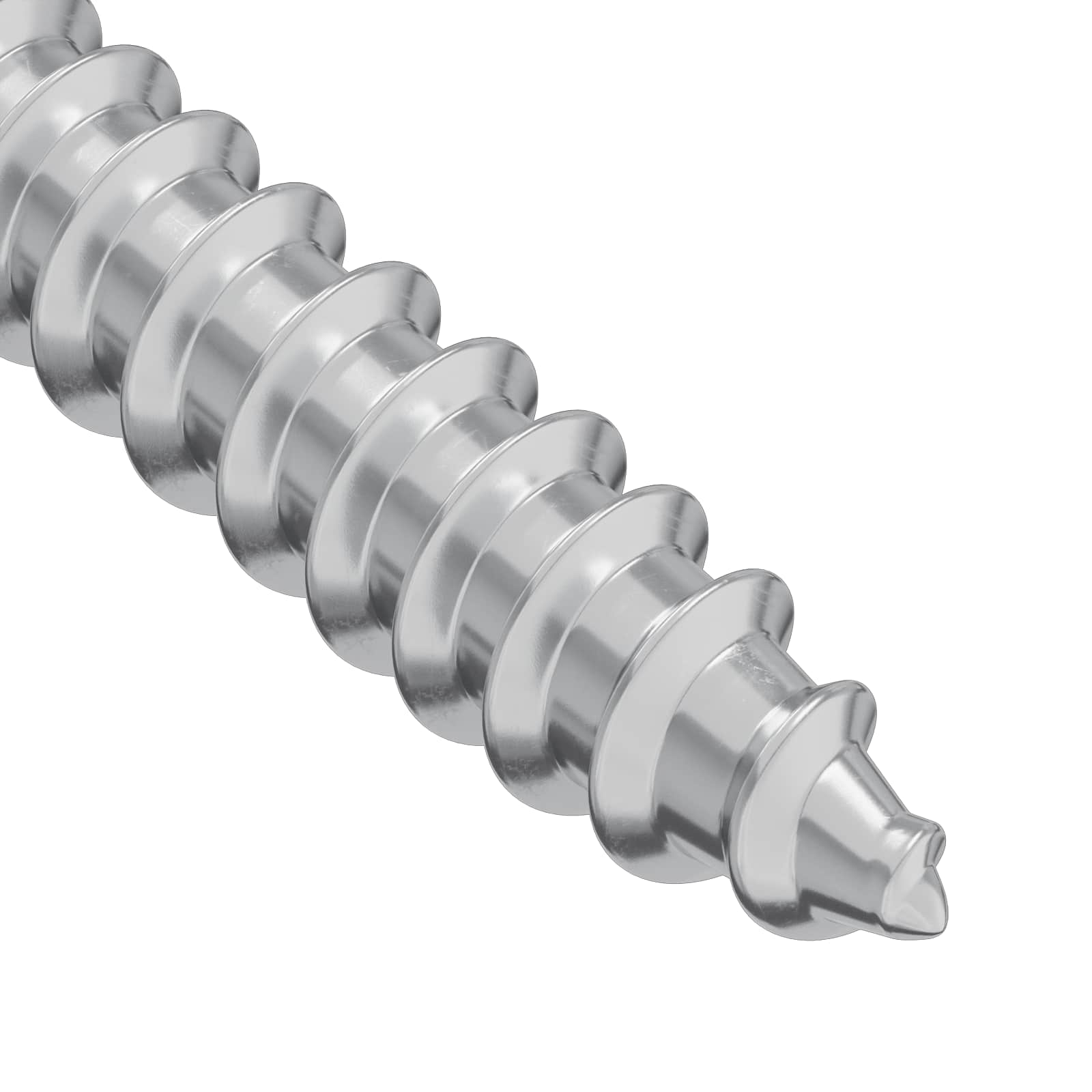 vidaXL Houten Schroef 2 pcs Zilver 9,8 x 53 mm Staal