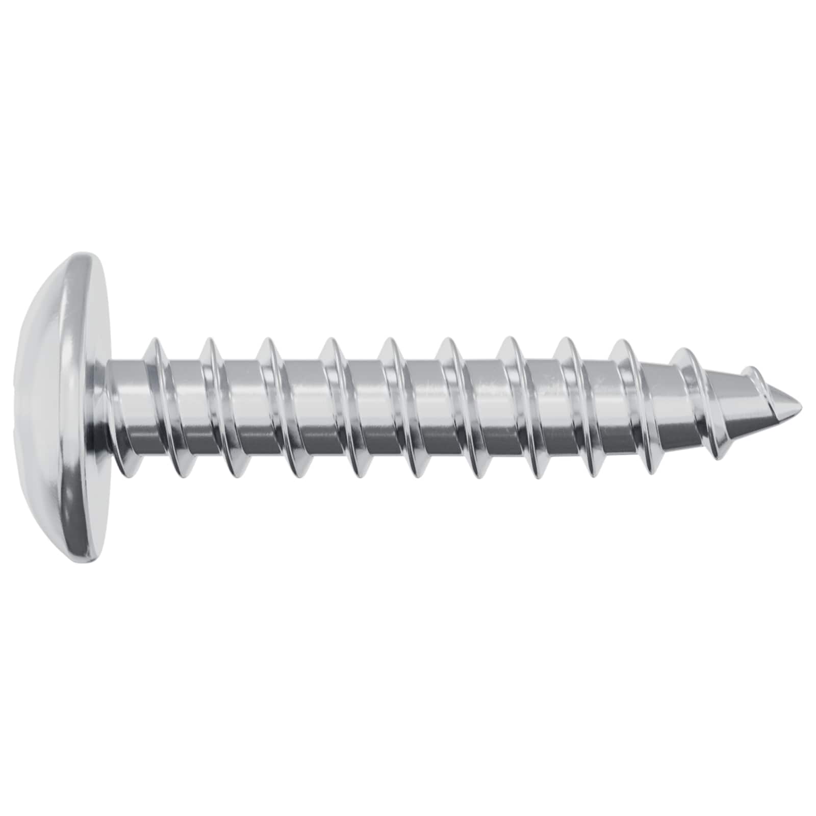 vidaXL Houten Schroeven 2 pcs Zilver M4 x 20 mm Staal