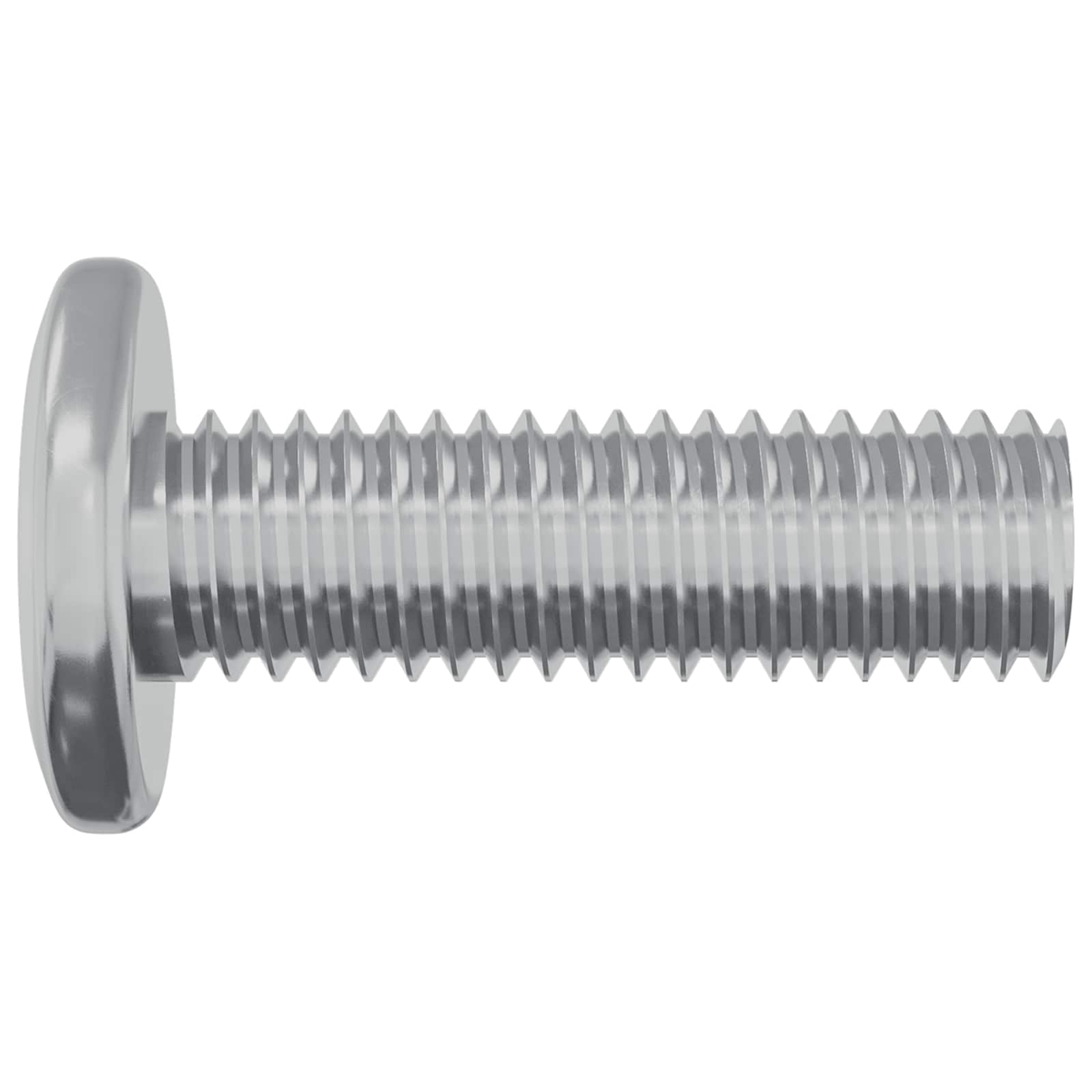 vidaXL Bout 2 pcs Zilver 8 x 25 mm Staal