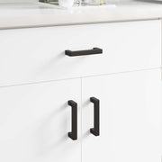 vidaXL Meubelhandgreep 2 pcs Zwart 110 x 12 x 36 mm IJzer