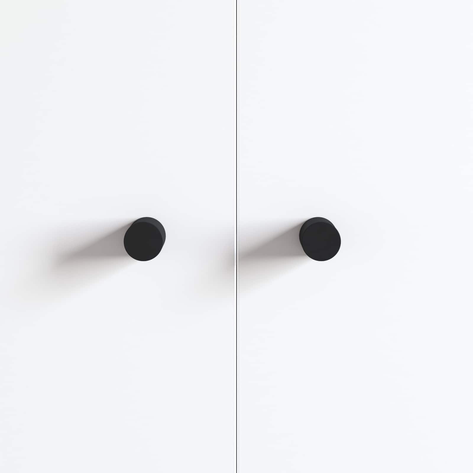 vidaXL Kastknoppen 2 pcs Zwart M4 x 12 mm IJzer