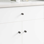 vidaXL Kastknop 2 pcs Zwart 18 x 23 mm IJzer