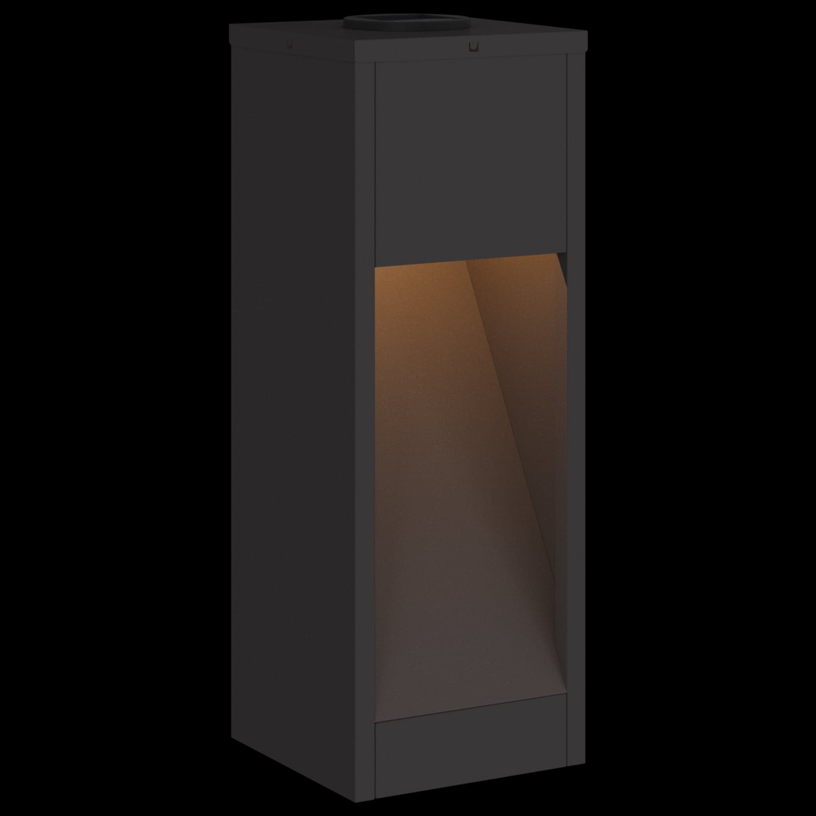 vidaXL Zonne LED Padverlichting 2 pcs Zwart Koudgewalst staal
