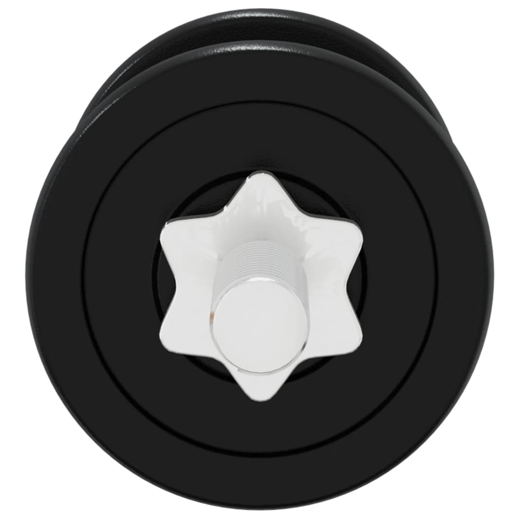 vidaXL Halterset 30 kg gietijzer