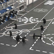 vidaXL Halterset 30 kg gietijzer