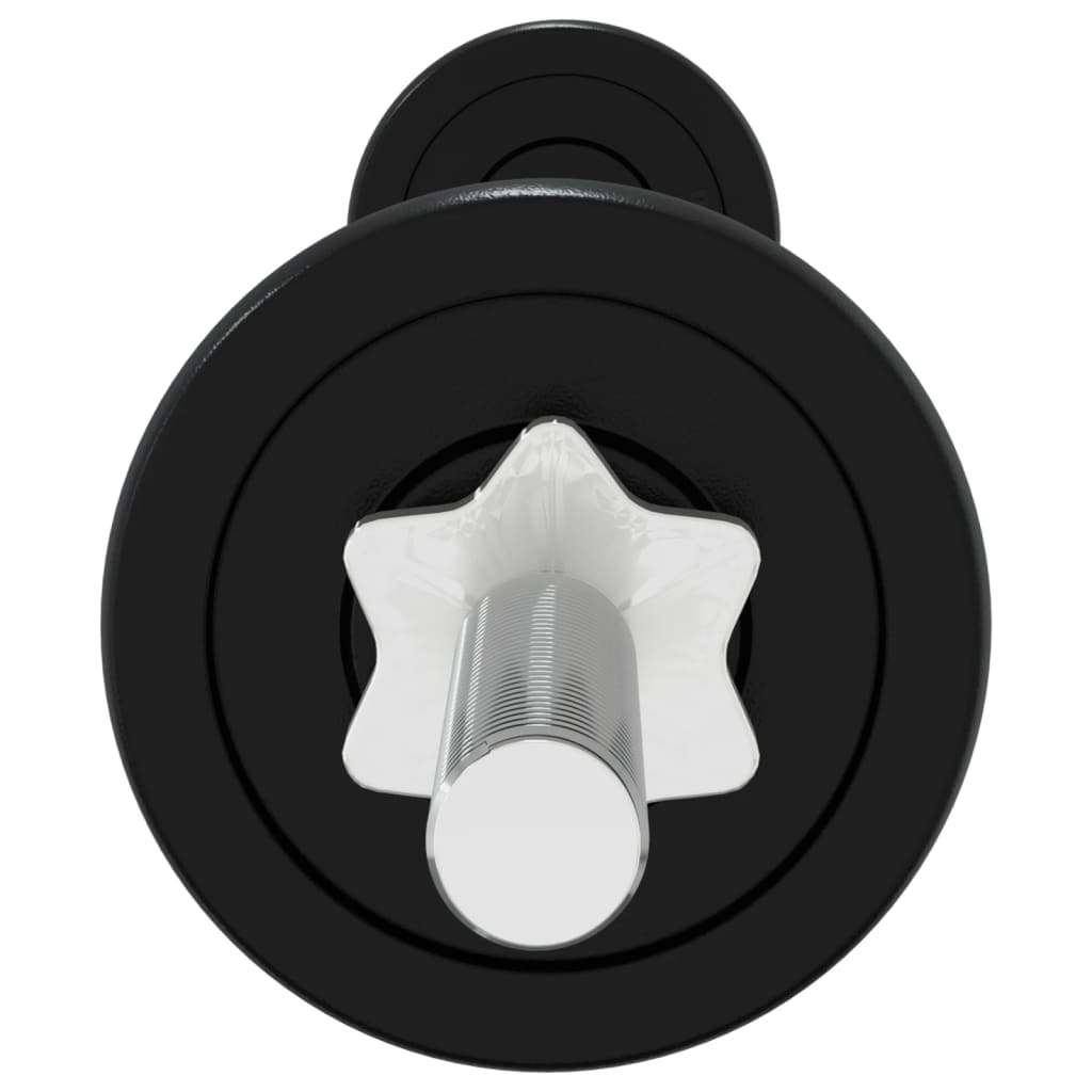 vidaXL Halterset 30 kg gietijzer