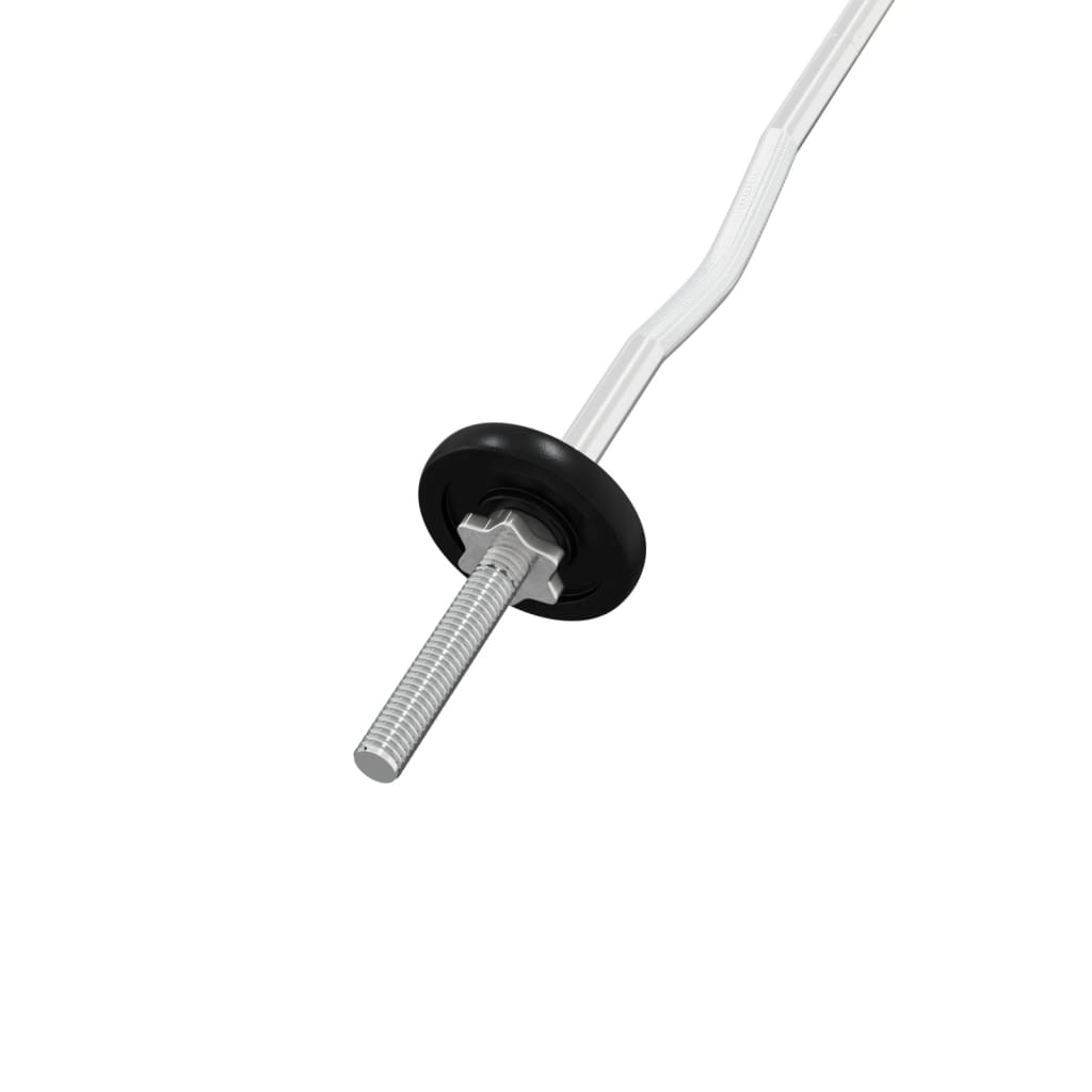 vidaXL Halterset 30 kg gietijzer